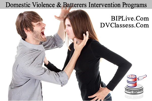 Court Ordered Parenting Programs BIP and DV Courses