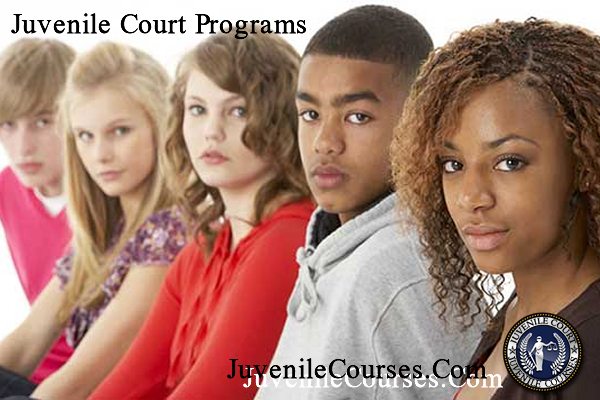 Court Ordered Parenting Programs Juvenile Courses