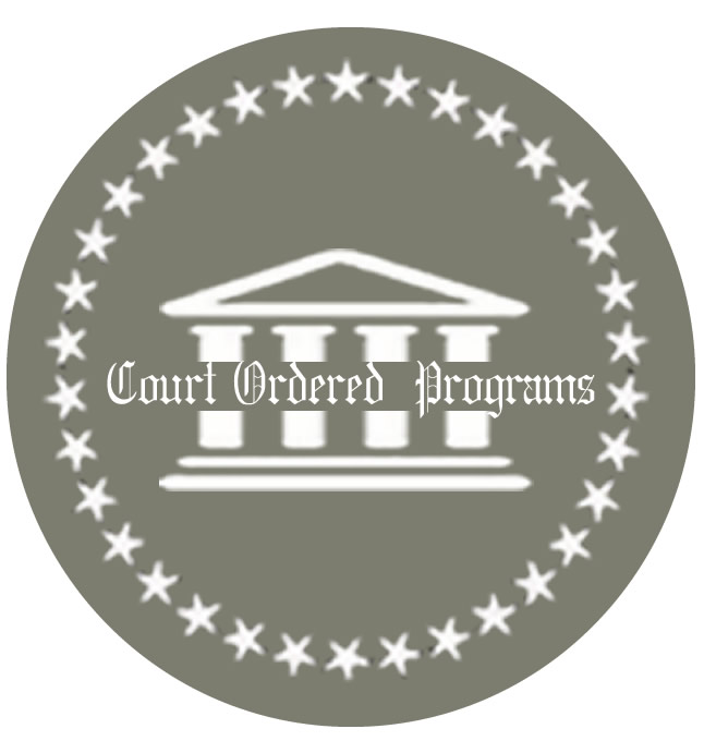 Court Ordered Parenting Programs Court Officer Software
